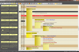 Screenshot der Langzeit-Kalenderansicht der Software Calefly